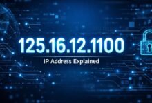 125.16.12.1100